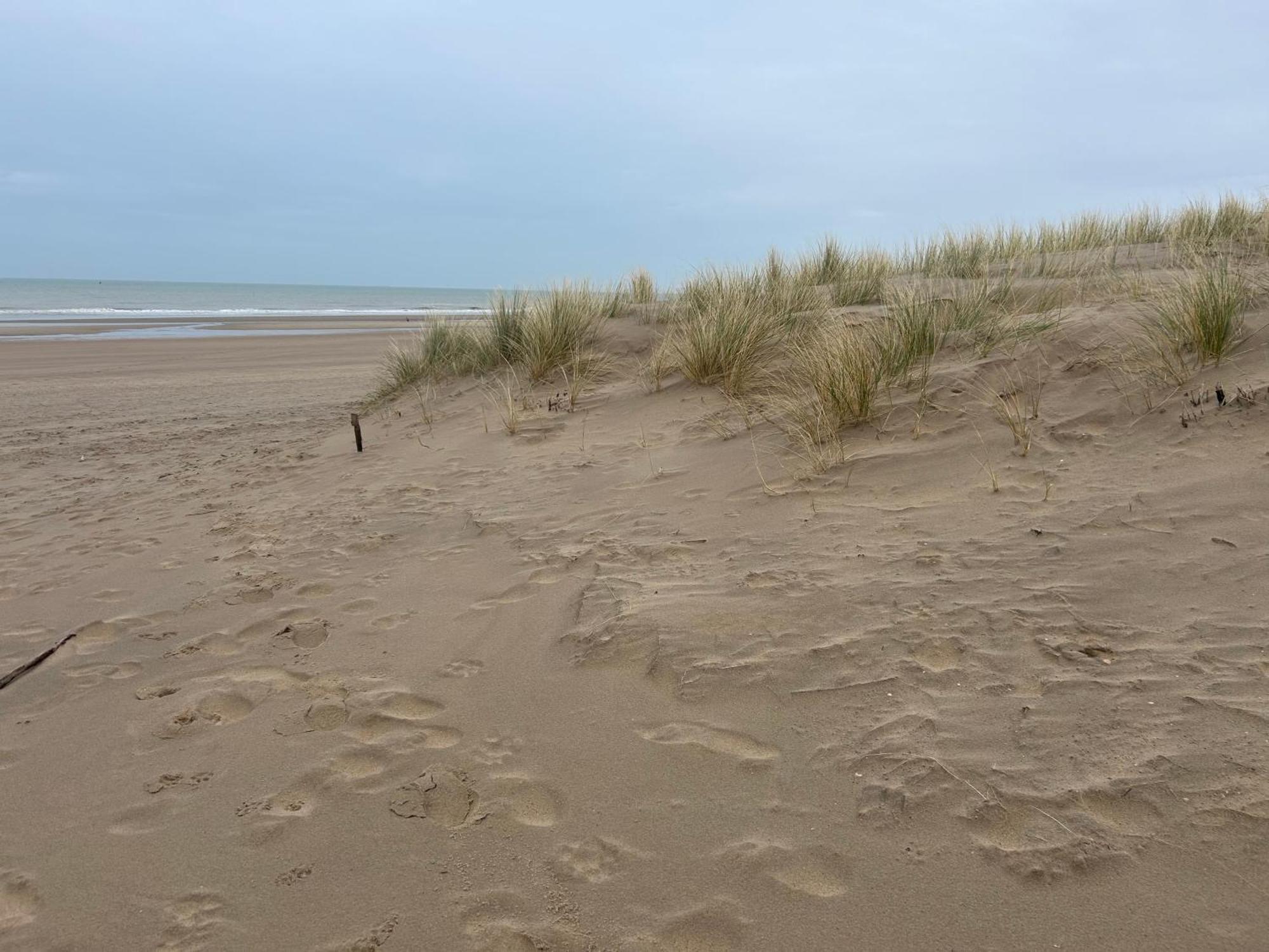Centraal Gelegen Gezellig Verblijf Met Groot Terras Oostende Exteriör bild